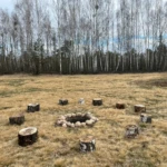 ognisko